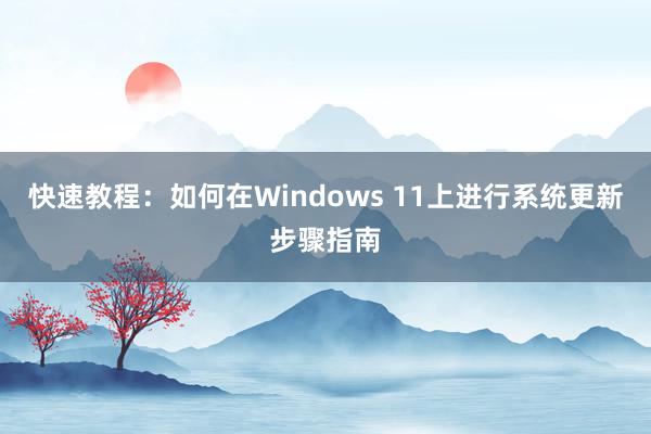 快速教程：如何在Windows 11上进行系统更新步骤指南
